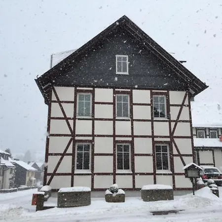 Deutsches Haus Lejlighed Willingen  Eksteriør billede